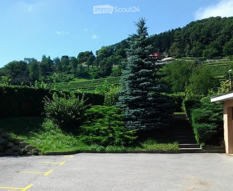 Appartement spacieux de 3,5 pièces à Ligornetto (1)