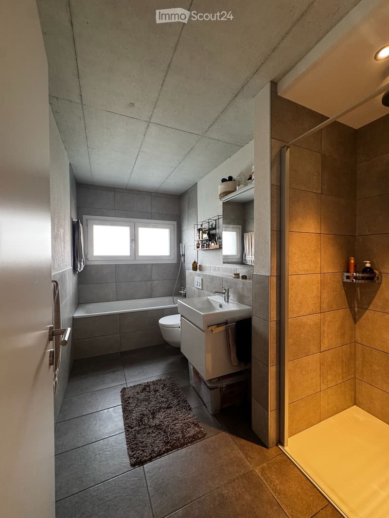Moderne Wohnung Neubau 2017 (4)