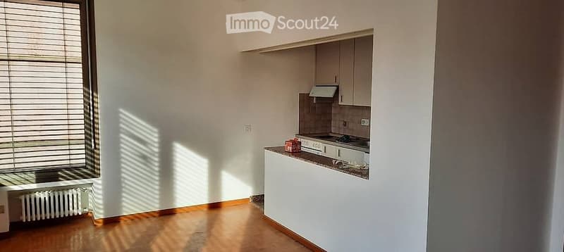 Cassarate. Rental of a furnished or unfurnished two-room apartment (5)