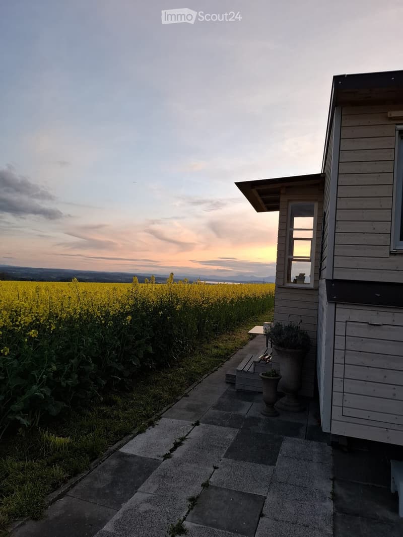 Affascinante Tiny House su ruote (1)