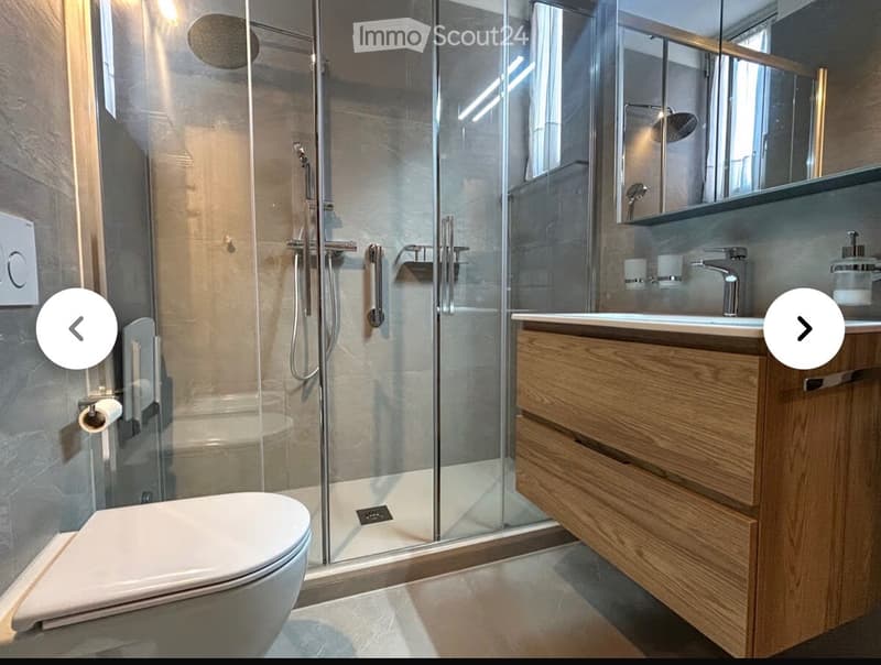 Wohnung 3,5 Zimmer Erdgeschoss (4)