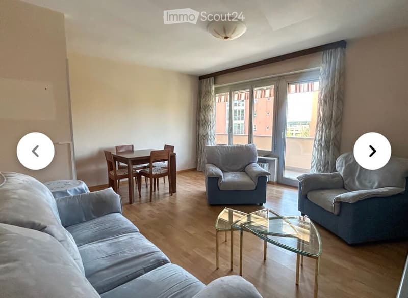 Wohnung 3,5 Zimmer Erdgeschoss (1)