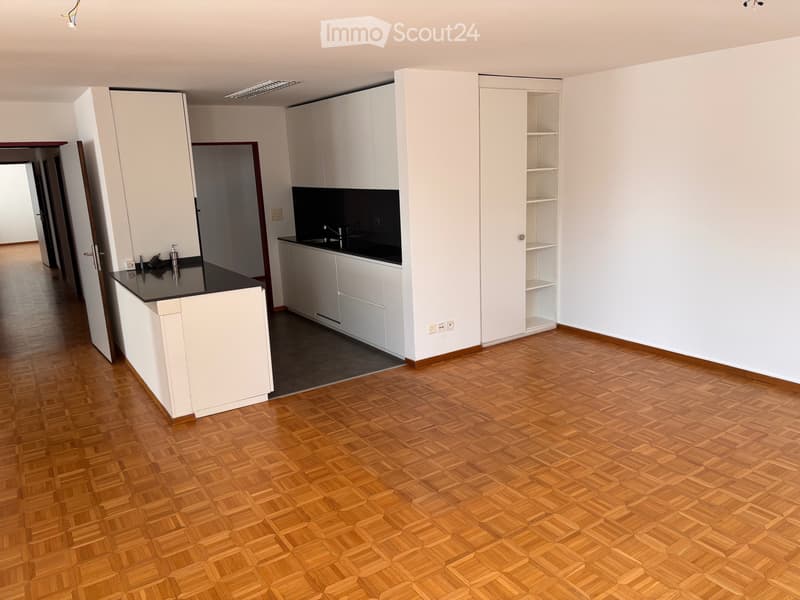 Appartement en attique à louer, 150 m2 avec terrasse (4)