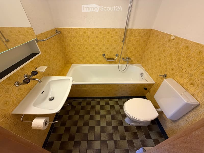 GROSSZÜGIGE 1 ZIMMER-WOHNUNG (2)