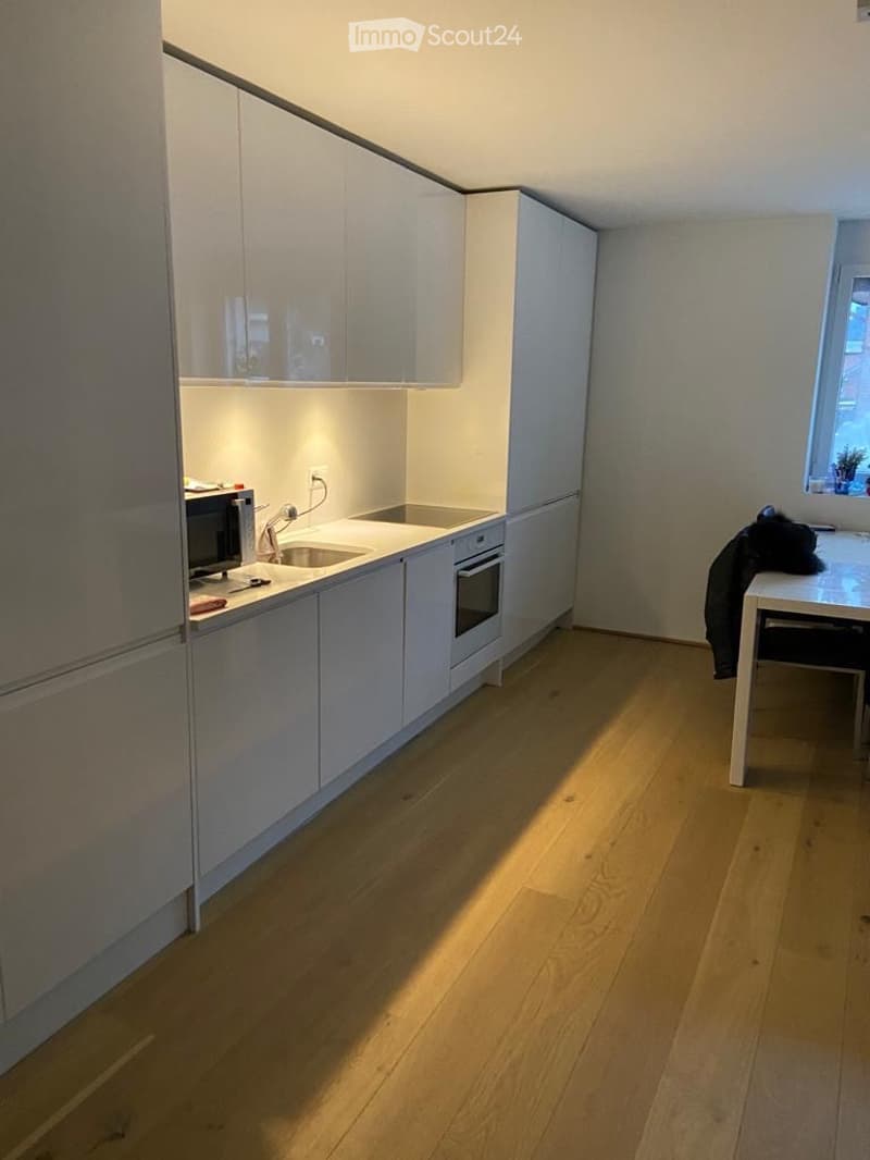 Apartment 2.5 rooms Beckenried NW (3)