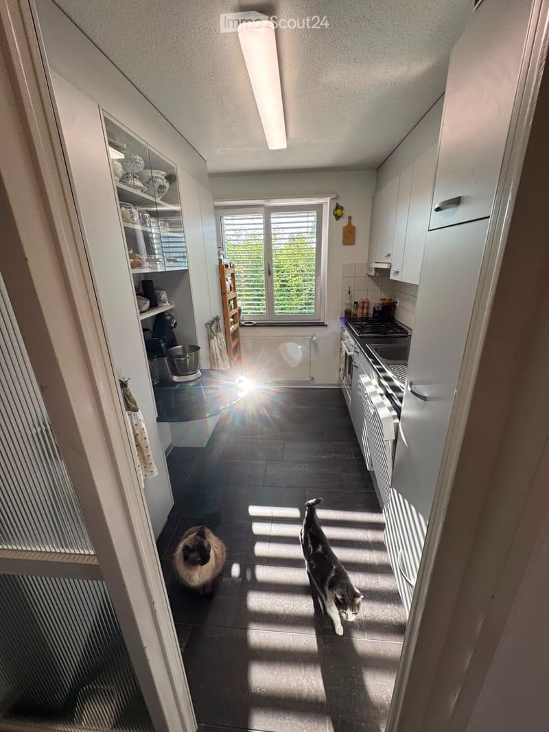Chambre dans appartement partagé pour 2 personnes au centre de Wil (4)