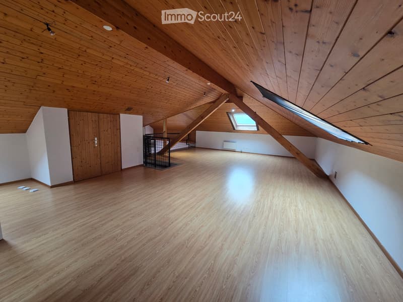 Bel appartement duplex en location - premier mois gratuit (5)