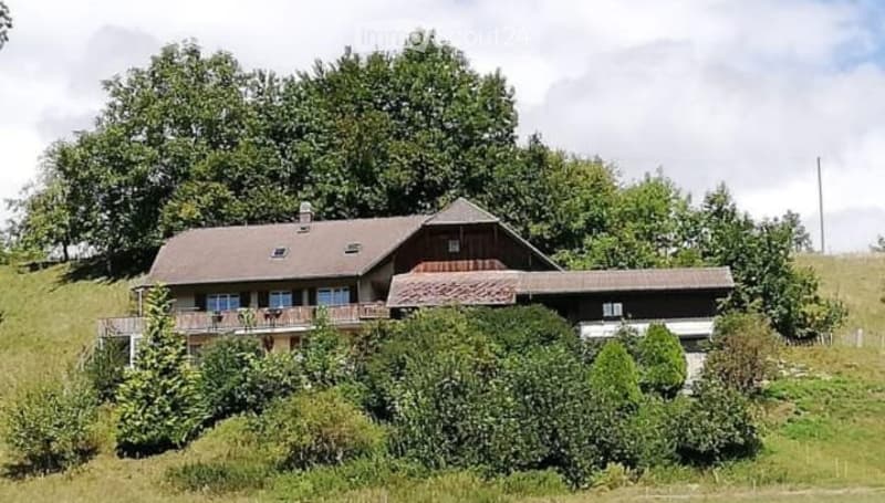 House with stable and large grounds for rent (1)