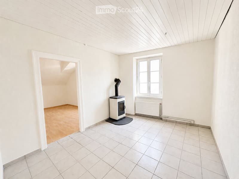 Appartement de 3.0 pièces fraîchement rénové avec terrasse sur le toit (1)