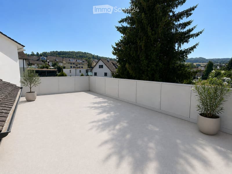 Appartement de 3.0 pièces fraîchement rénové avec terrasse sur le toit (5)