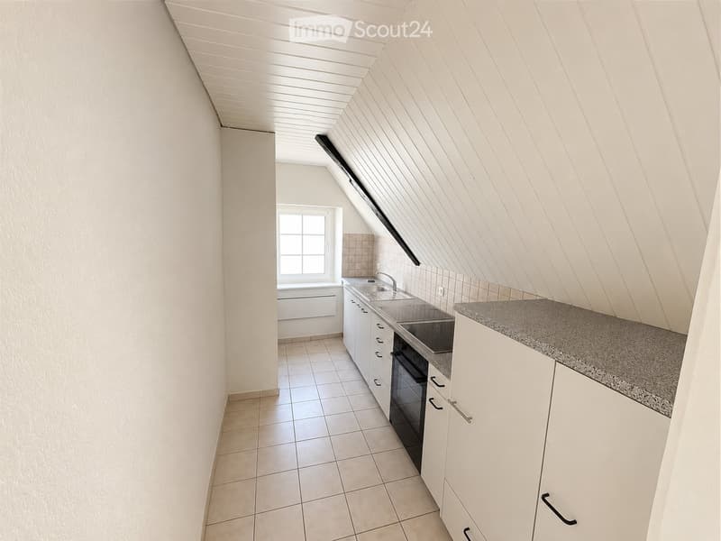 Appartement de 3.0 pièces fraîchement rénové avec terrasse sur le toit (3)