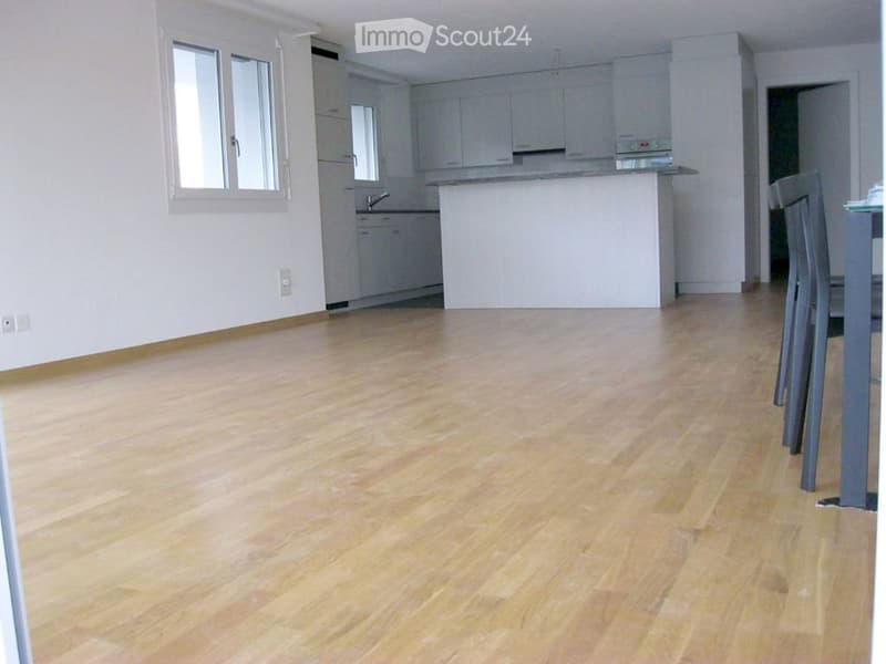 Appartamento moderno luminoso 4,5 locali, balcone angolare enorme (26 m2) sud-ovest (5)