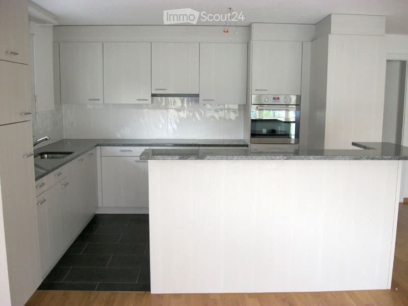 Appartamento moderno luminoso 4,5 locali, balcone angolare enorme (26 m2) sud-ovest (3)