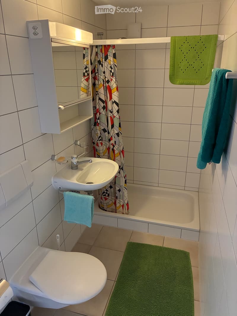 Möblierte Wohnung (4)