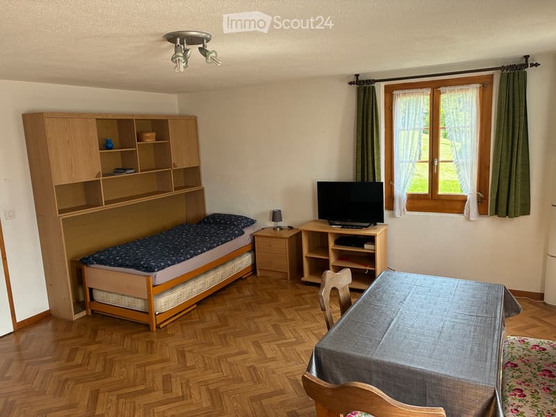 Möblierte Wohnung (2)