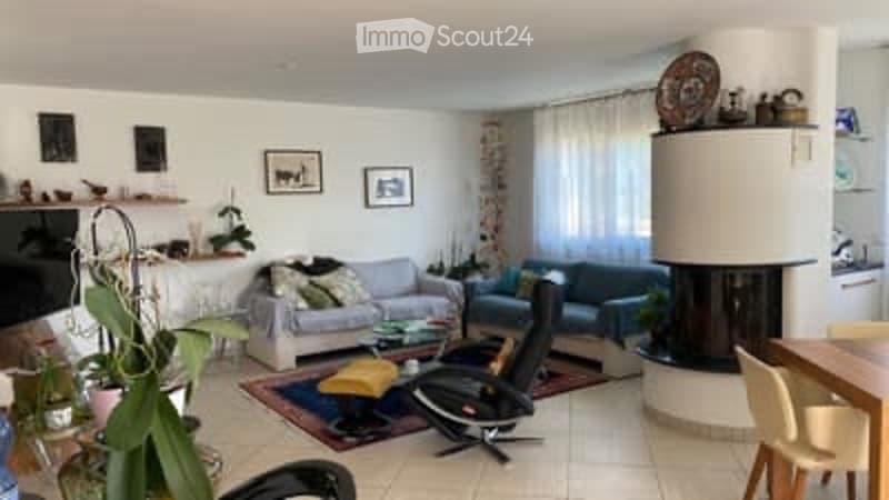 Apartment 4.5 rooms with large terrace and garden (3)