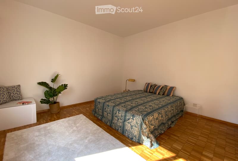 Helllichtes 4.5-Zimmer-Apartment, 100 m², Balkon, 2 Badezimmer in Pregassona (3)