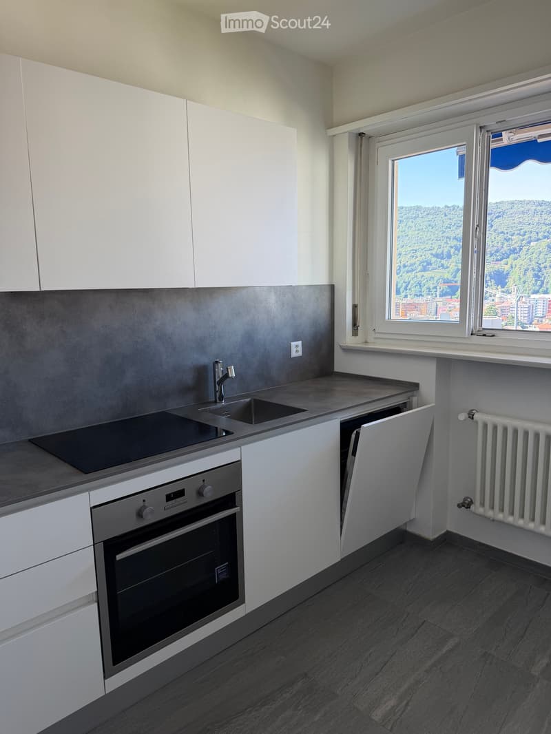 Appartement à louer à Vacallo (2)