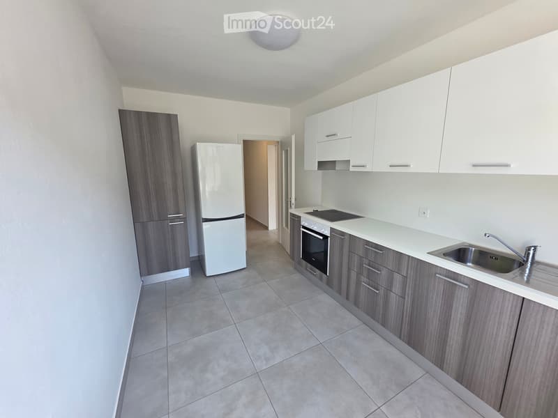 Rent 3.5 rooms renovated in Canobbio (6)