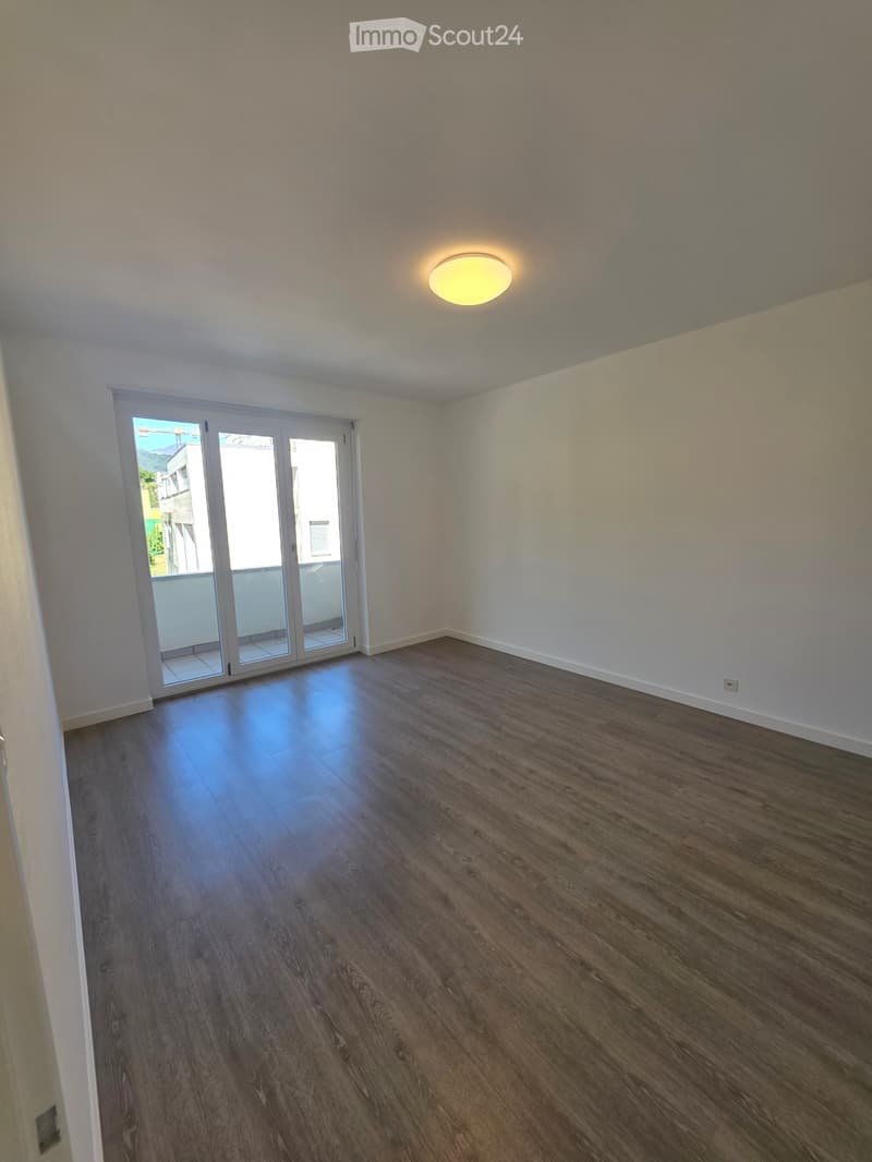 Rent 3.5 rooms renovated in Canobbio (3)