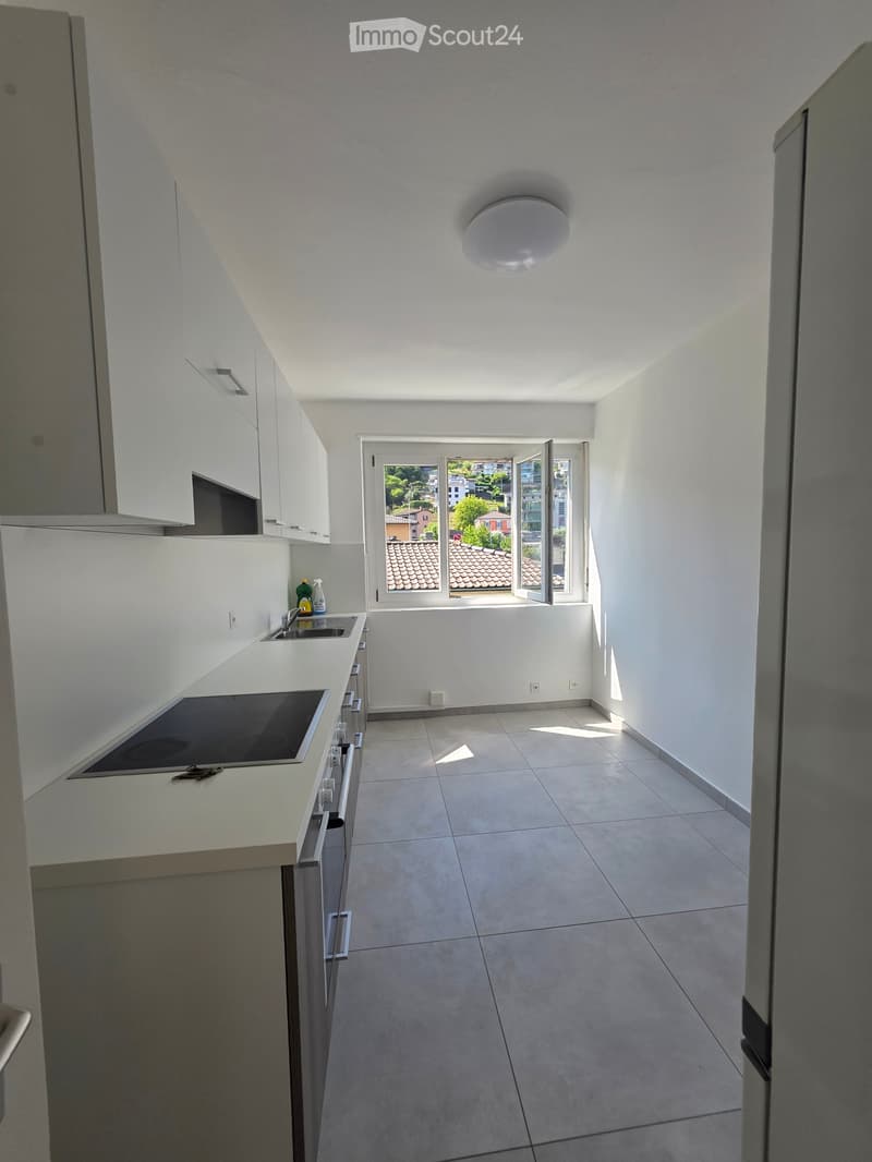 Rent 3.5 rooms renovated in Canobbio (7)