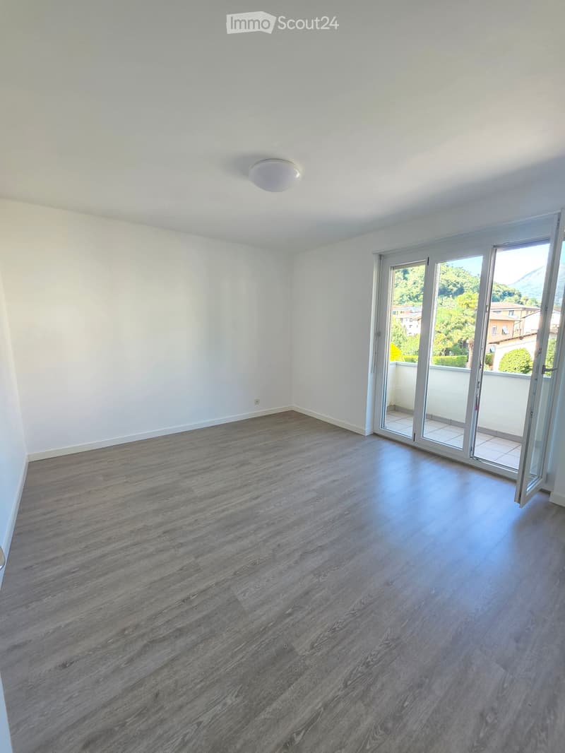 Rent 3.5 rooms renovated in Canobbio (4)