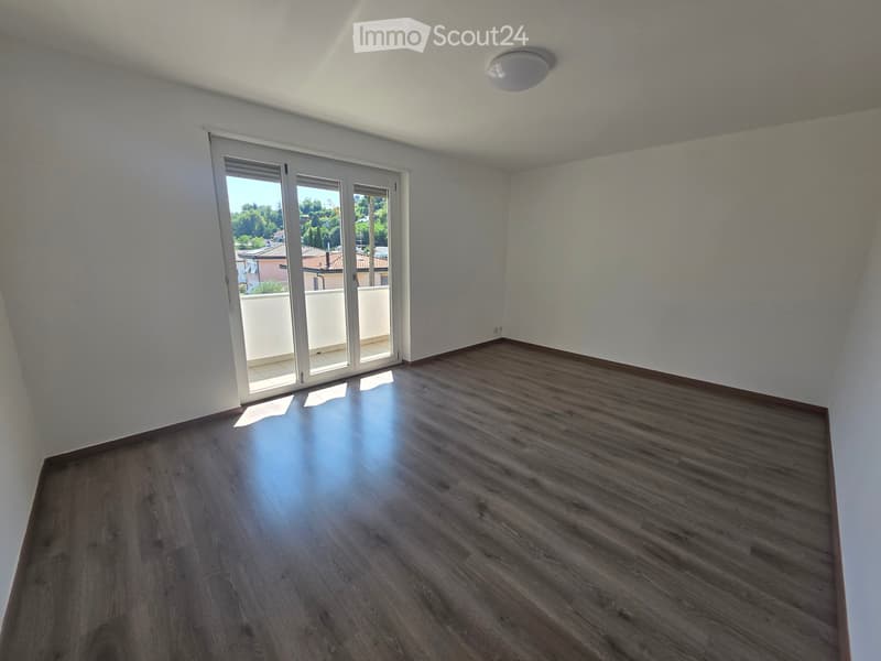 Rent 3.5 rooms renovated in Canobbio (2)