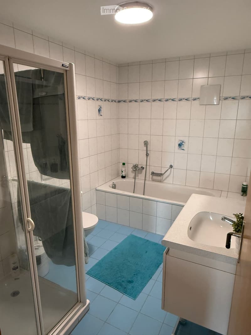 Blauen BL / appartamento 3.5 locali luminoso (110 m²) con balcone sud (4)