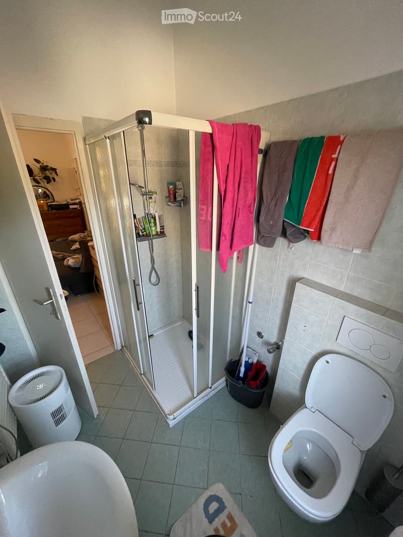 3.5 room apartment in Bedano (2)