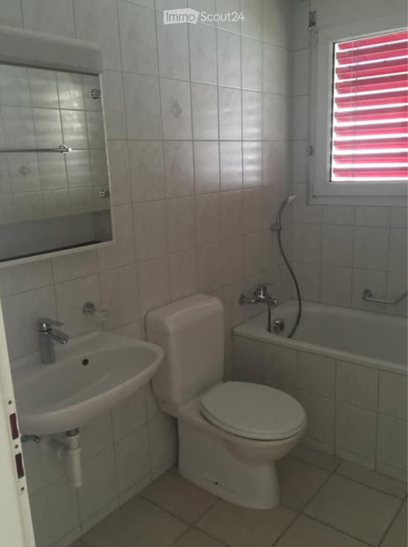 Bright 3.5-room apartment with condominium standard (4)