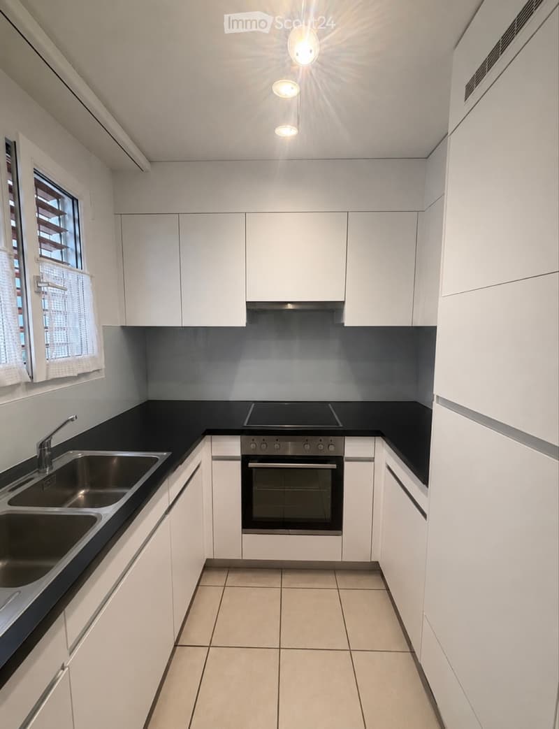 Bright 3.5-room apartment with condominium standard (3)