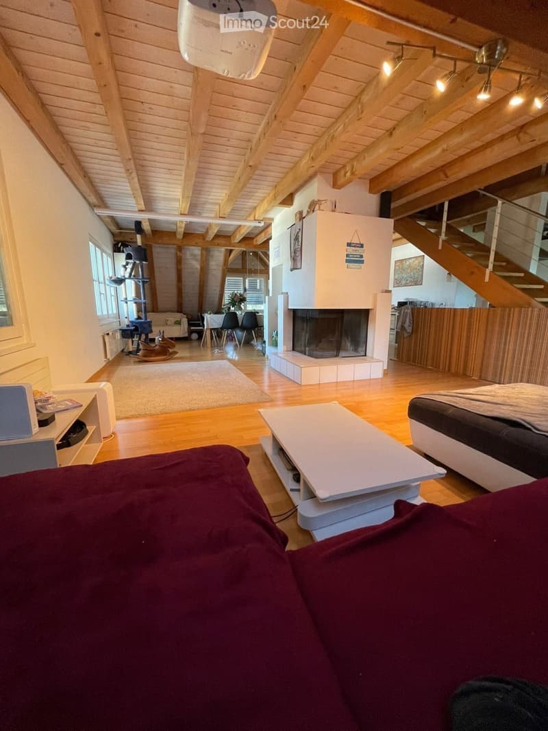 Chambre avec vue sur le lac de Zurich - Touch international (3)