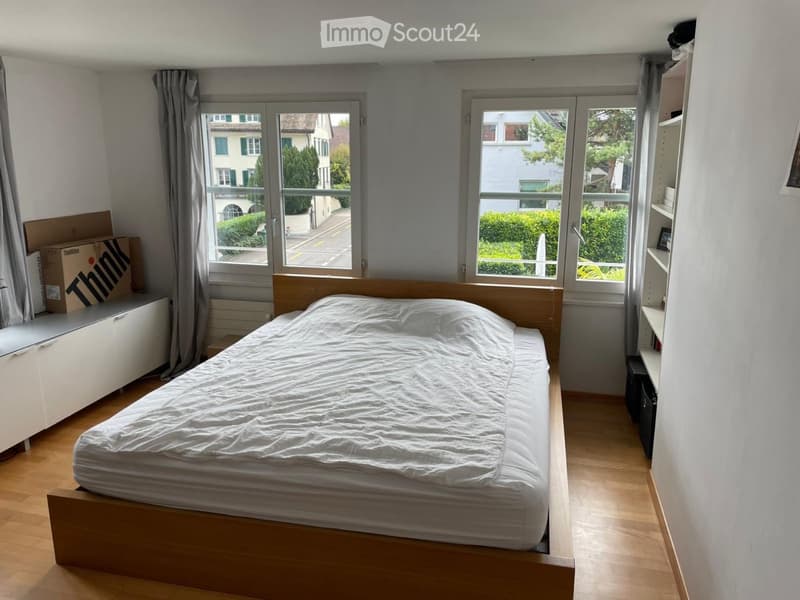 Chambre avec vue sur le lac de Zurich - Touch international (5)
