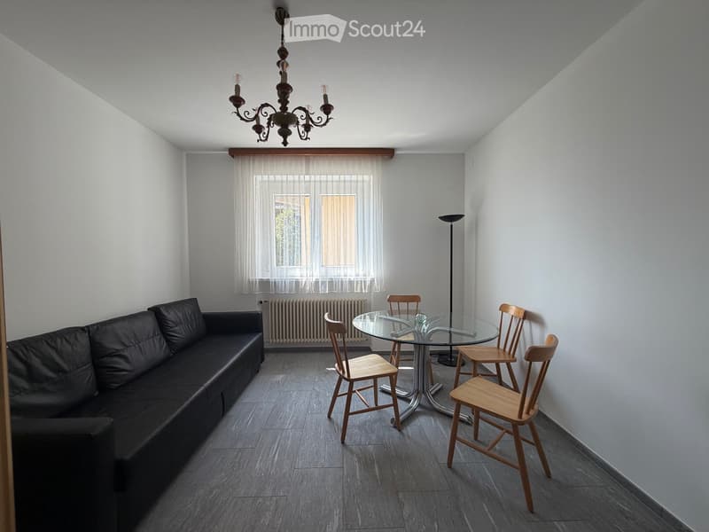 Appartement renoviert (3)