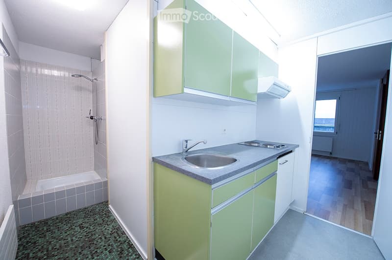 1-Zimmerwohnung - Ideal für Wochenaufenthalter / Pendler (4)