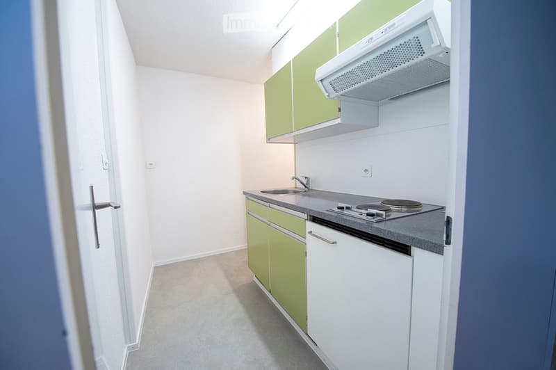 1-Zimmerwohnung - Ideal für Wochenaufenthalter / Pendler (3)