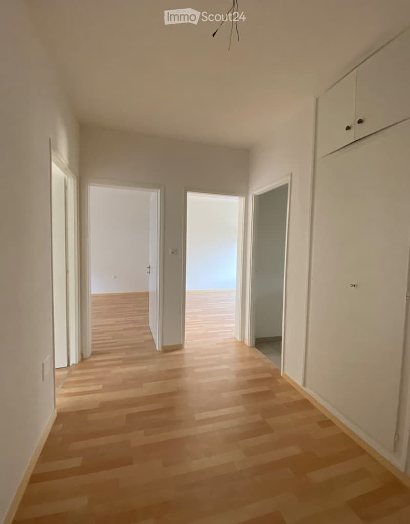 Soleggiato 3.5 locali con balcone (4)