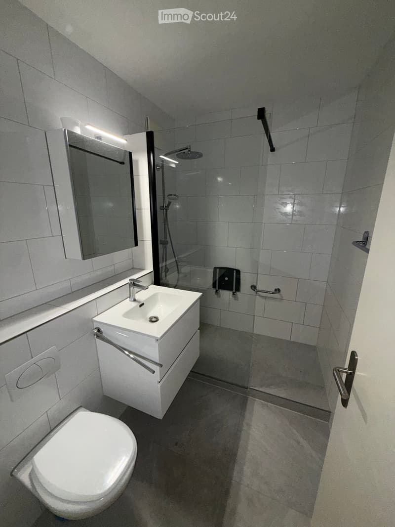 2.5 Zimmer Wohnung in Lenzburg nähe Bahnhof (1)