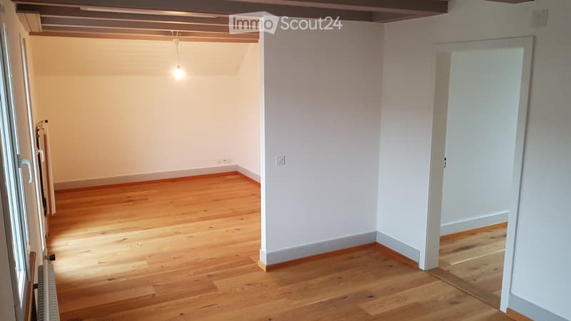 Cozy 2.5 room apartment in Luterbach (2)