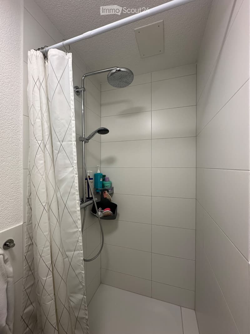 Appartement moderne 2.5 pièces à Affeltrangen (5)