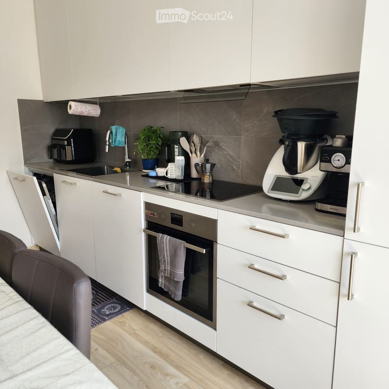 Renting a bright 3.5-room apartment (2)