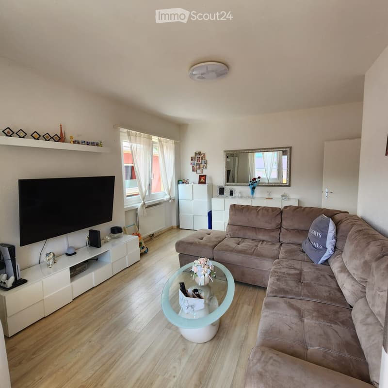 Renting a bright 3.5-room apartment (3)
