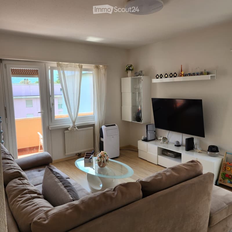 Renting a bright 3.5-room apartment (1)