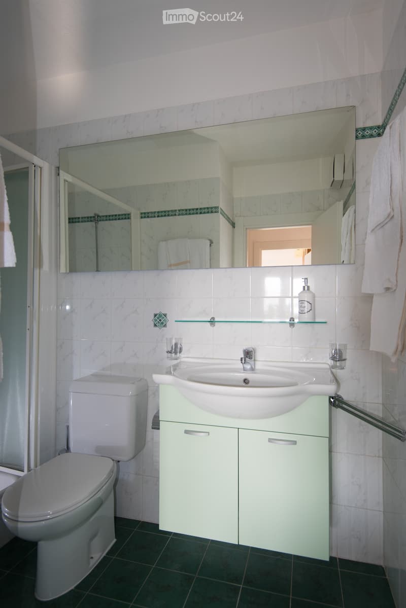 Furnished 2.5-room apartment (4)