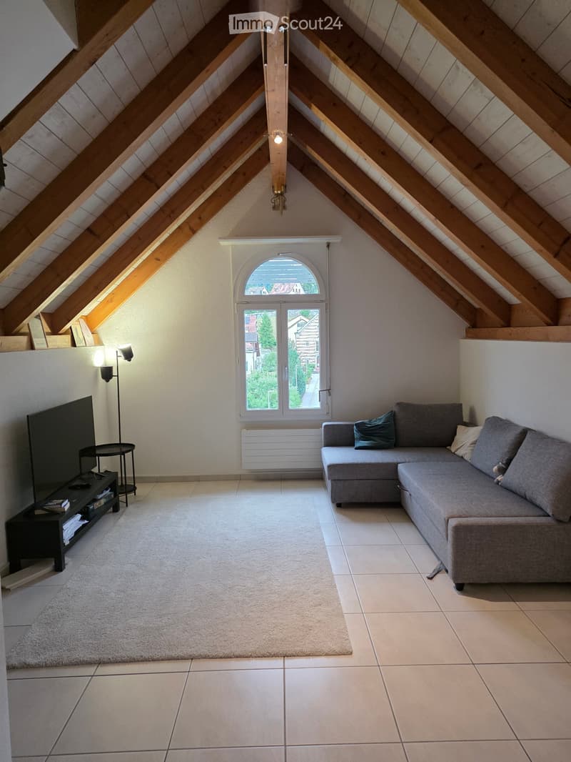 2.5-Room Apartment in Adliswil - 2.5-Zimmer-Wohnung (1)