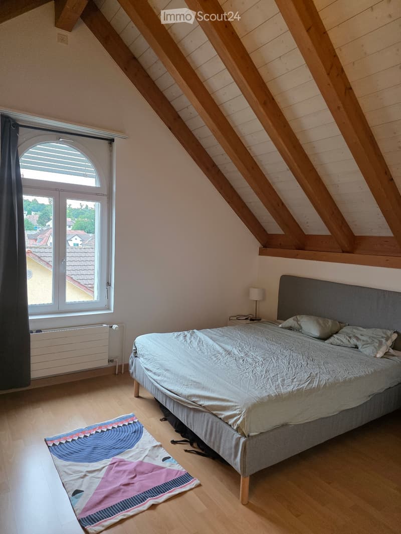2.5-Room Apartment in Adliswil - 2.5-Zimmer-Wohnung (5)