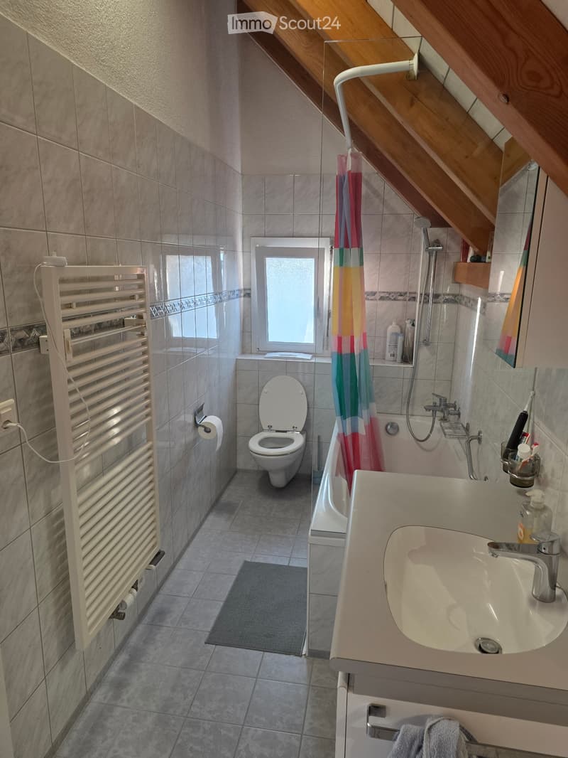 2.5-Room Apartment in Adliswil - 2.5-Zimmer-Wohnung (2)