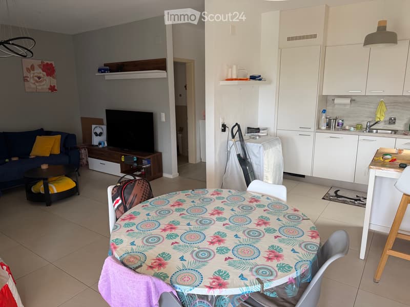 Luxury Apartment Lugano (2)