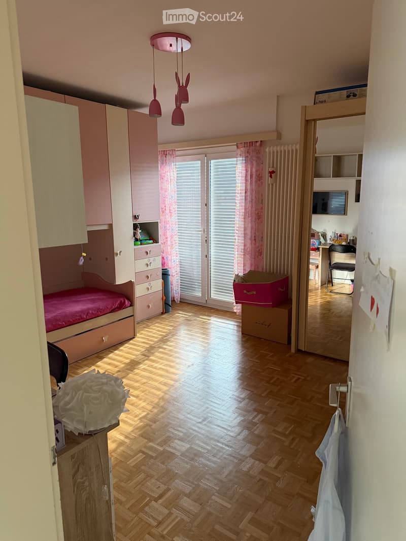 Luxury Apartment Lugano (5)