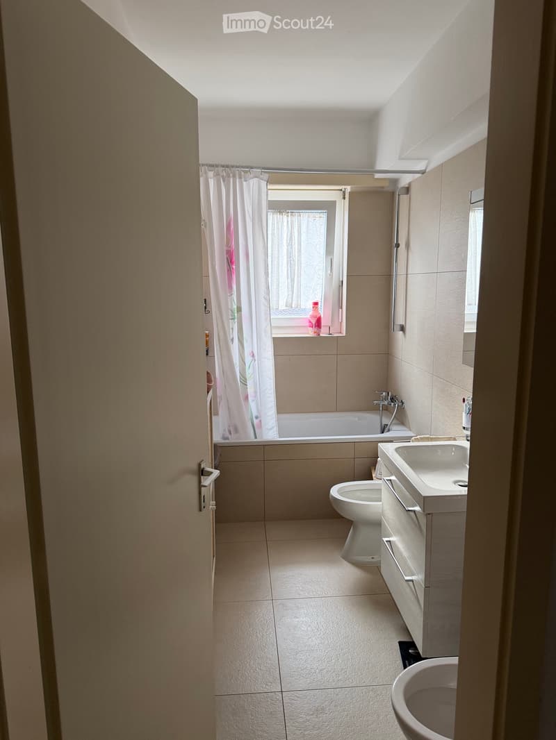 Luxury Apartment Lugano (3)